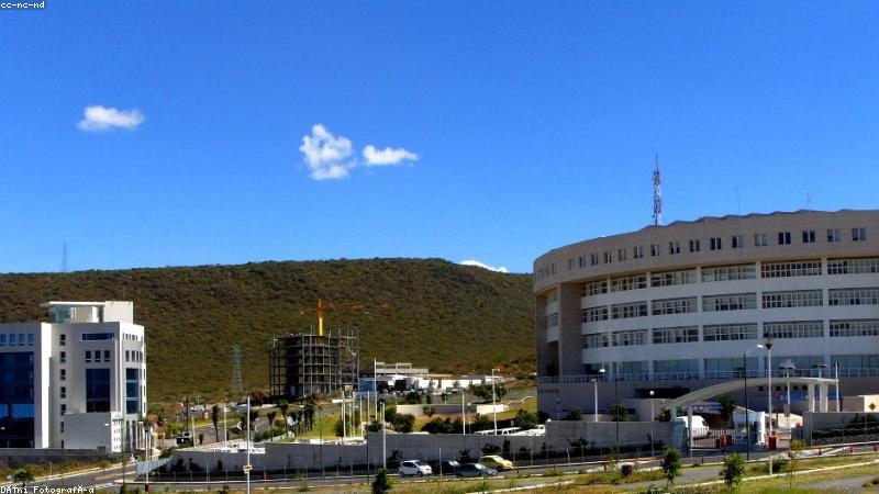 91蜜桃视频类平台内容安全与隐私防护专题首页视觉